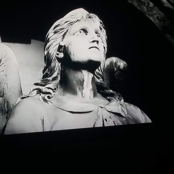 Meet your Posher, Mo - Picture 5 of 8